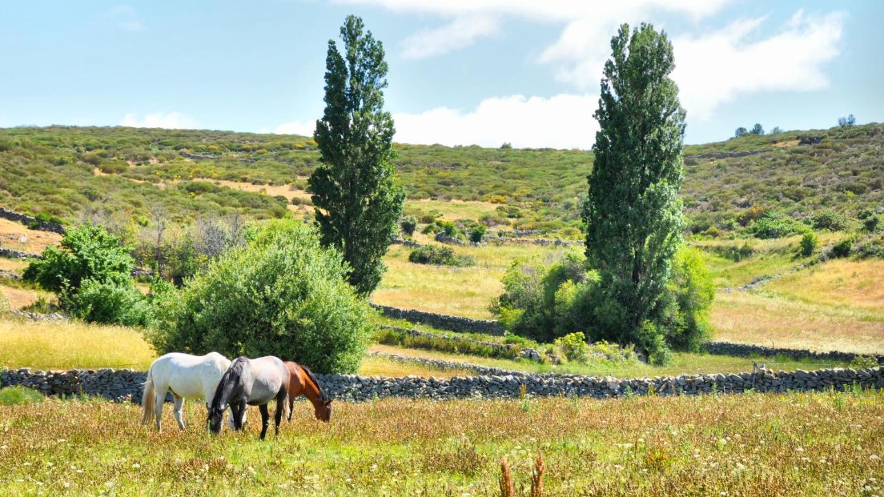 Hotel Casa Rural Spa La Villa Ávila Luaran gambar